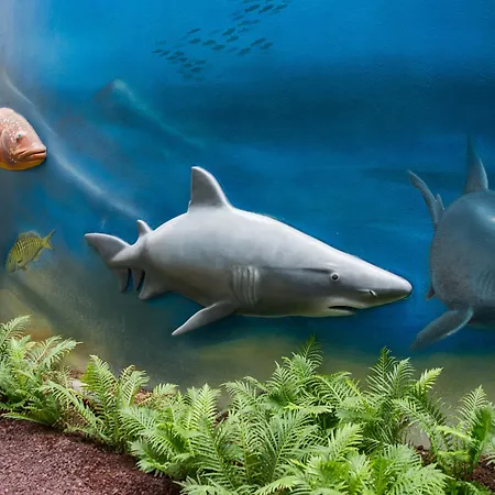 Hovima La Pinta Beachfront Family Отель