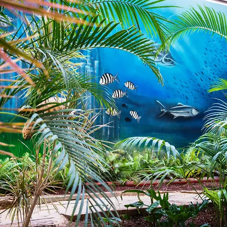 Hovima La Pinta Beachfront Family Szálloda 4*